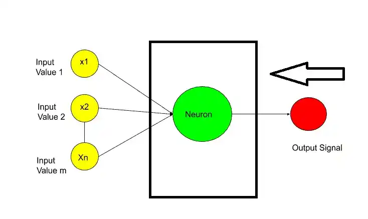 Neuron in neural network