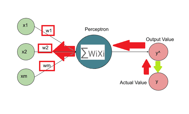 Back propagation