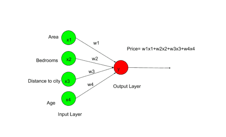 How does Neural Network Work? A step by step Guide.