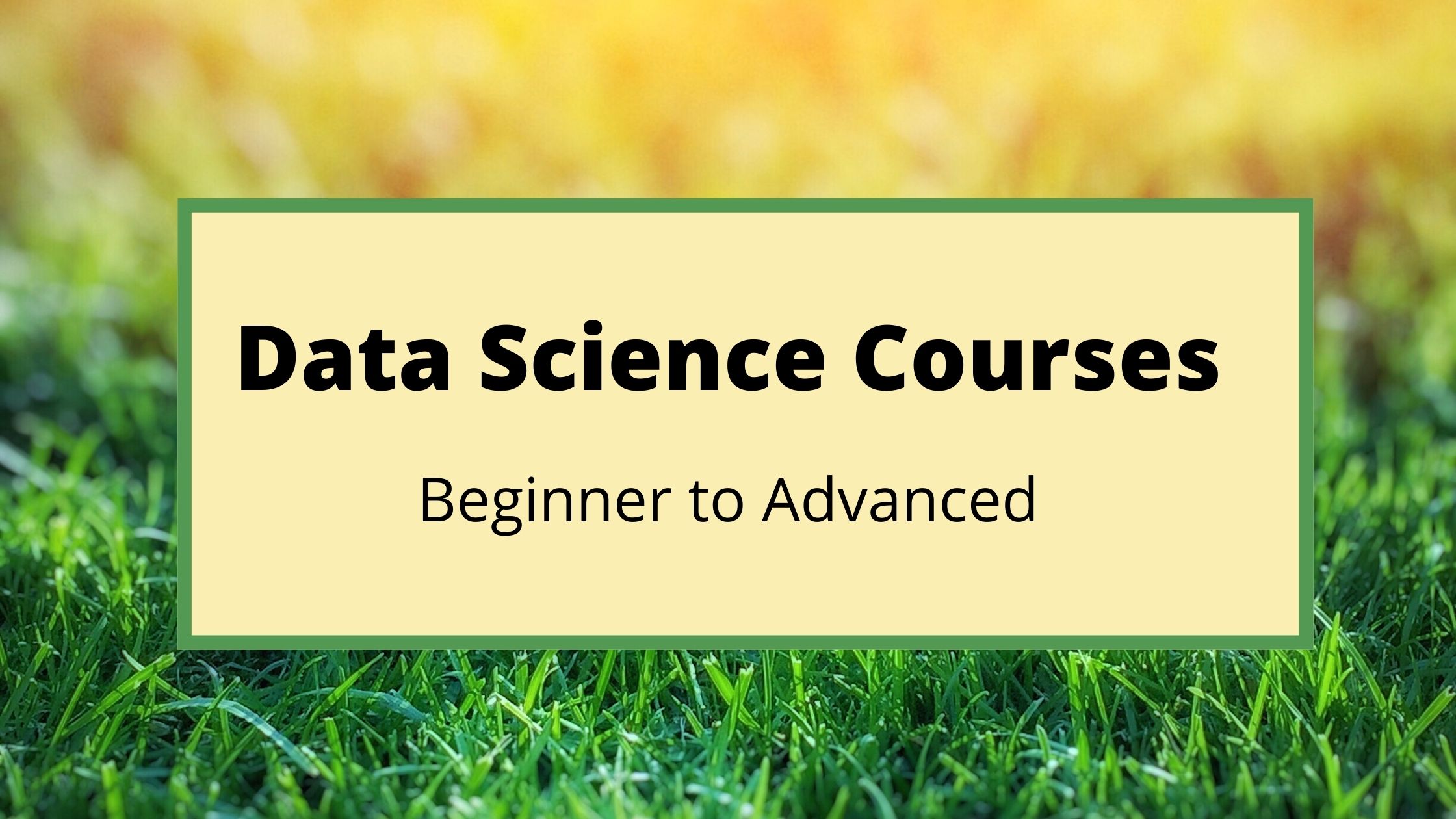 18 Best Online Courses for Data Science [Bestseller] 2024