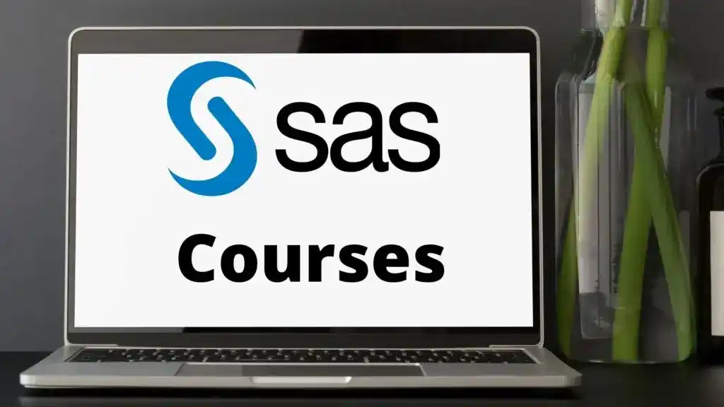 Best SAS Certification Online Courses