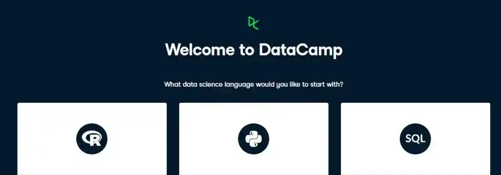 DataCamp review 2021