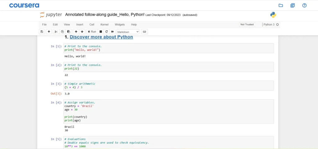Python code running in a Jupyter notebook inside the Google Data Analytics Certificate