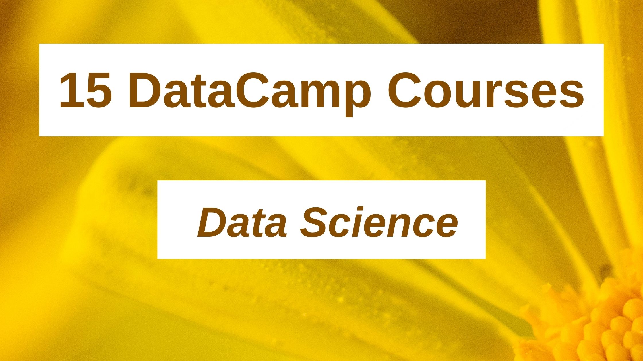 15 Best Data Science Courses Datacamp You Must Know in 2024