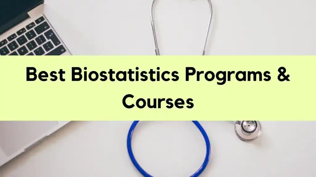 Best Online Biostatistics Programs