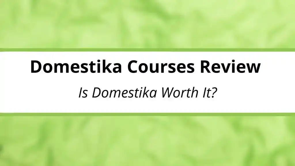 Domestika Courses Review- Is Domestika Worth It?